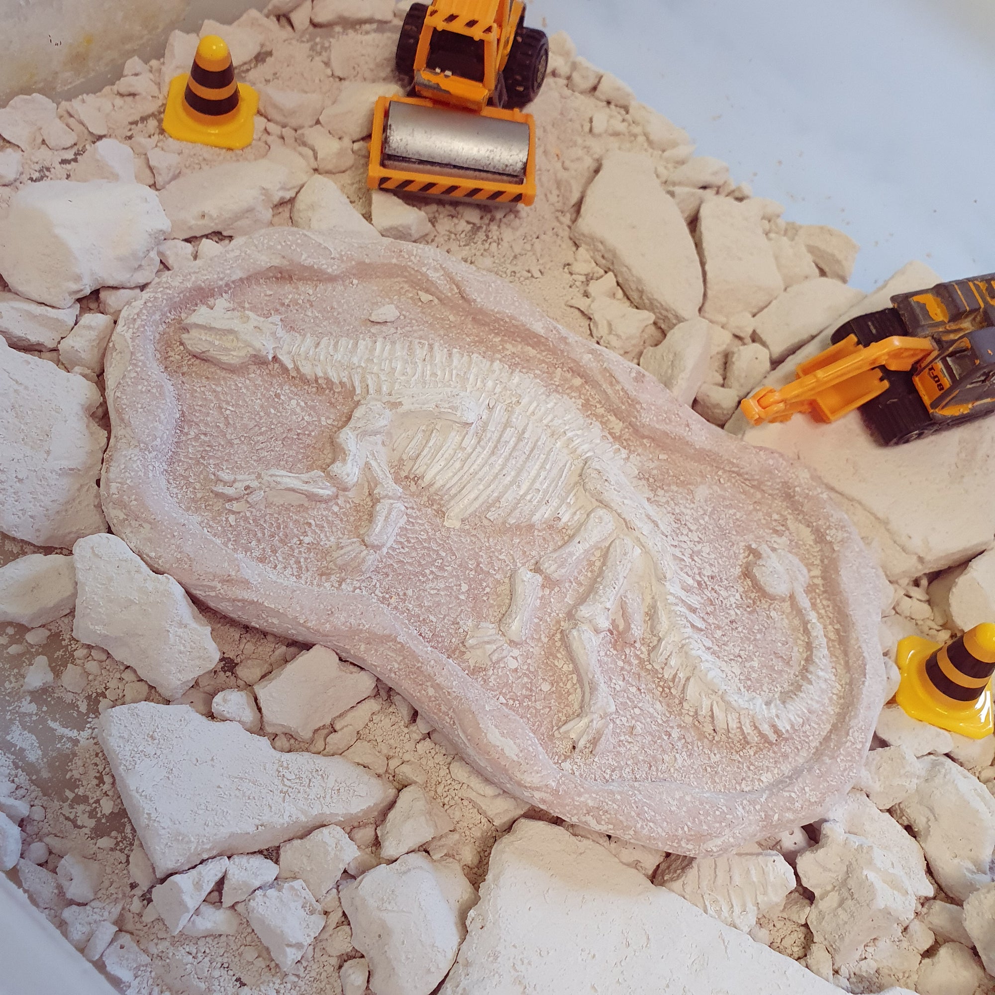 Dinosaur fossil excavation scene