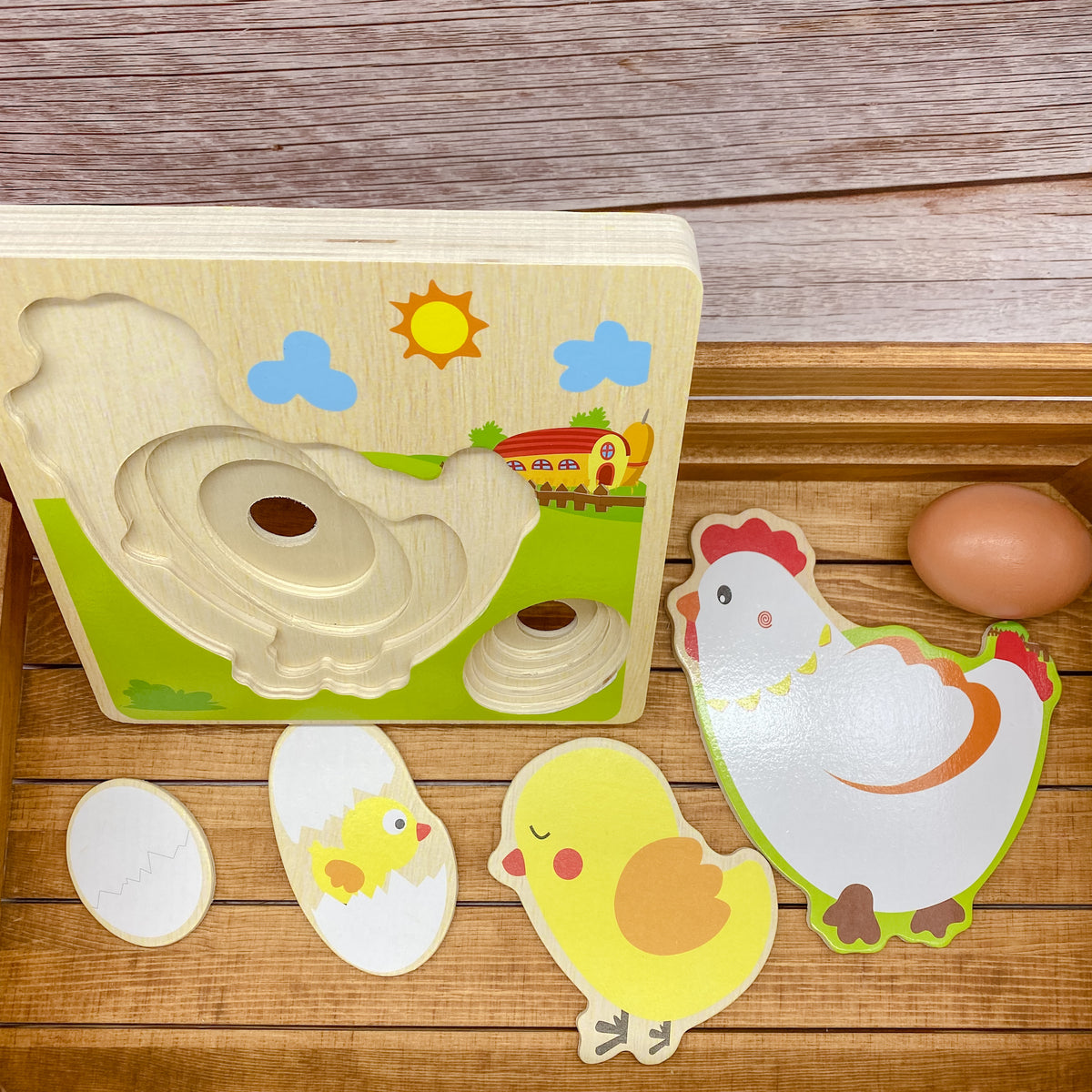 3D Chicken Lifecycle Montessori Wooden Puzzle