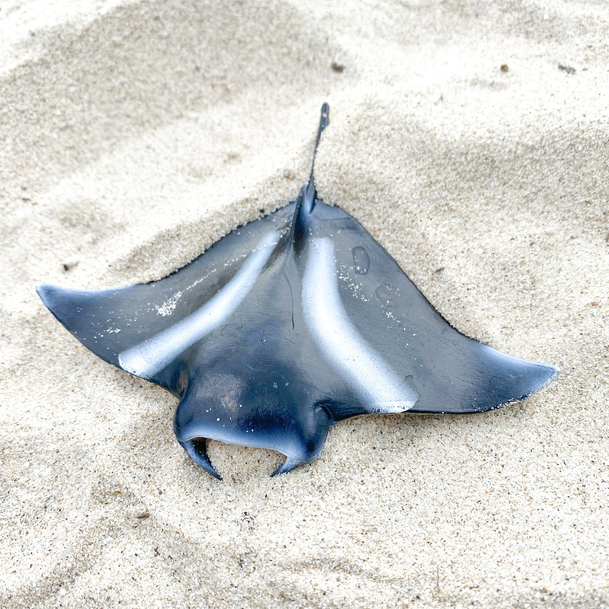 Manta ray Sea Animal Figurine