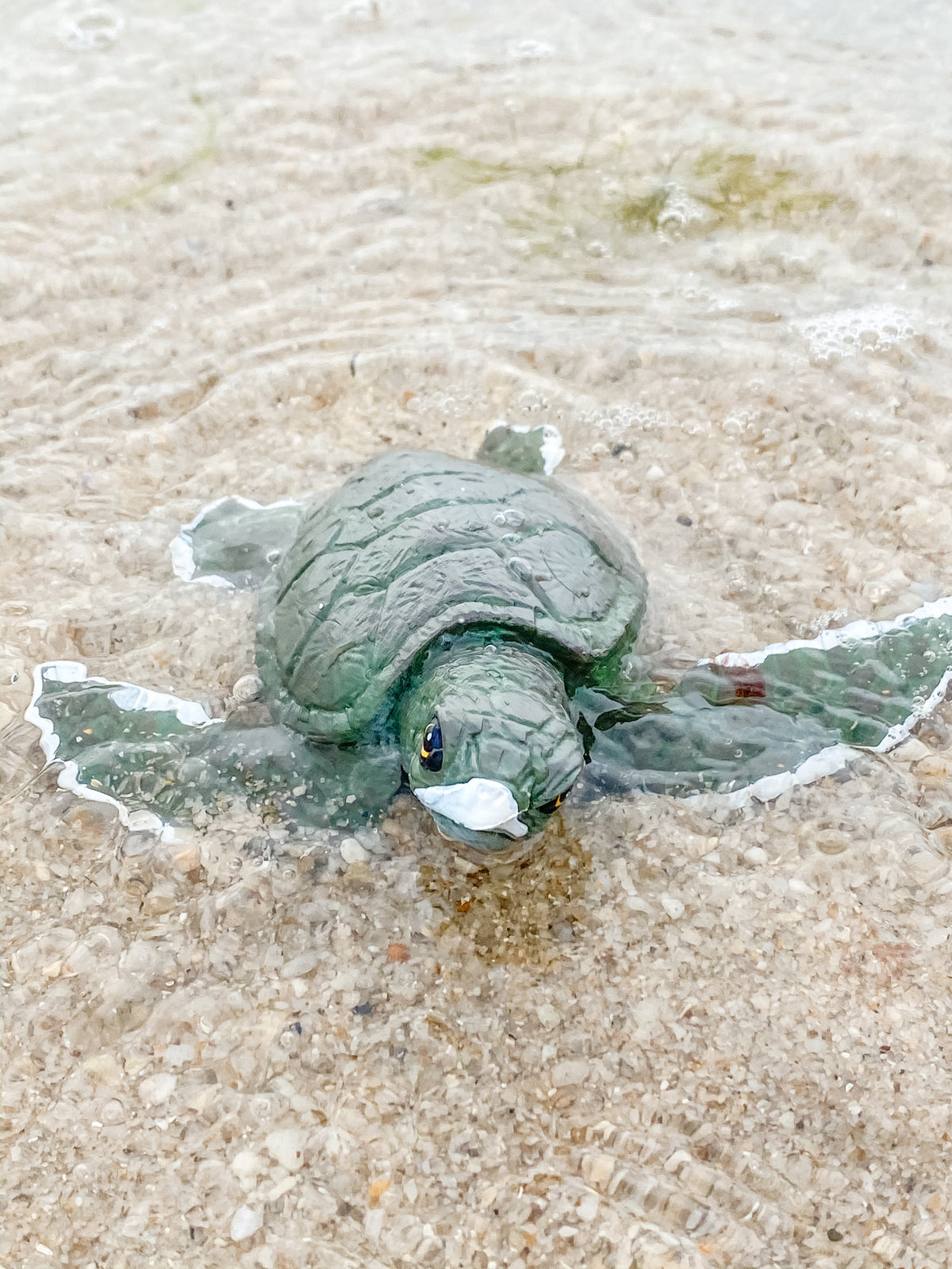 Sea turtle figurine