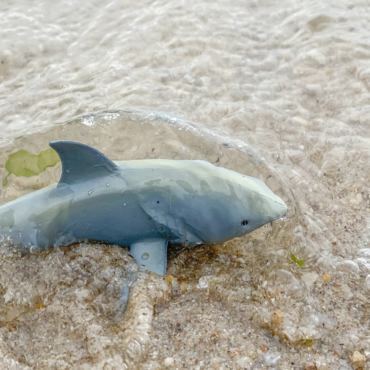 Shark Toy Figurine