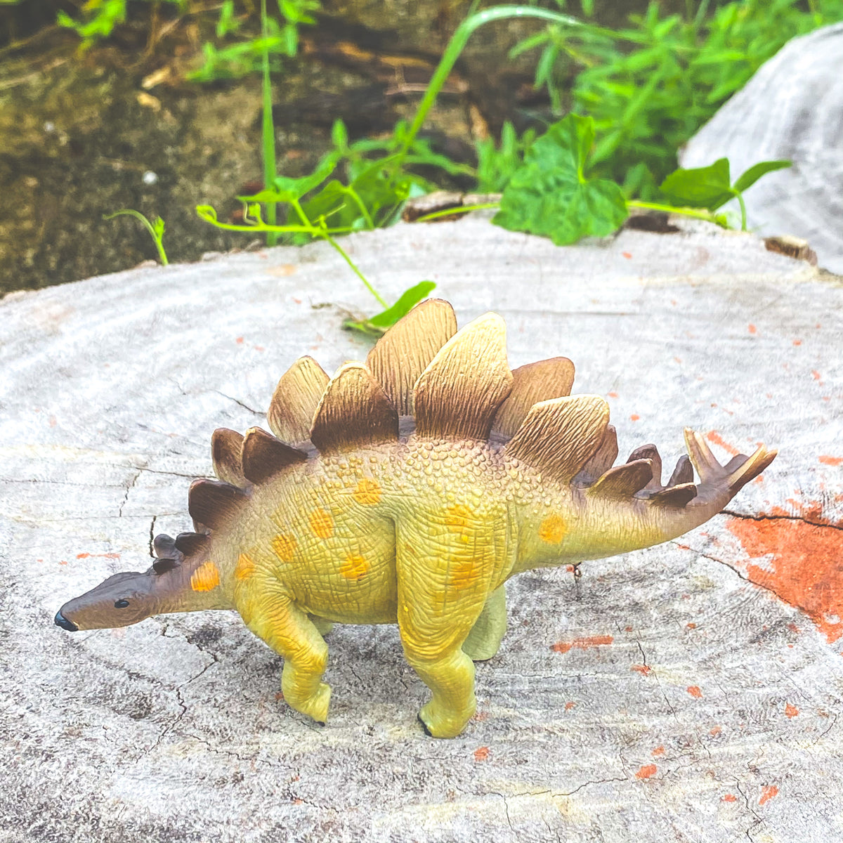 Stegosaurus Dinosaur